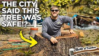 The City Tried to SHUT DOWN Our Job Site! Hollow Tree Removal!