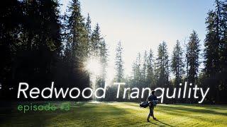 The Grandeur of Northwood  |  Golf Ambience