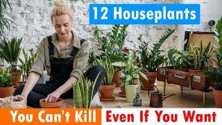 12 Houseplants You Can’t Kill Even If You Want