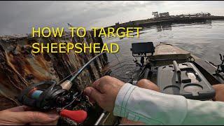 Sheepshead Catching Lessons! Use this 3 tips to catch monster slabs #fishing #Flounder #sheepshead