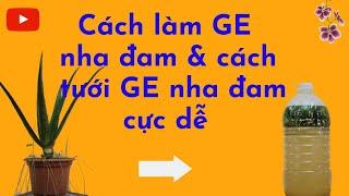 Cách làm GE nha đam và cách tưới GE nha đam cho lan cực dễ