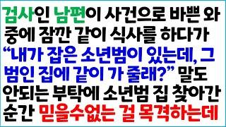 [반전사이다사연] 검사인 남편이 사건으로 바쁜 와 중에 잠깐 같이 식사를 하다가 " 내가 잡은 소년범이 있는 그 범인 집에 같이 가 줄래?" ~ /라디오드라마/사연라디오/신청사연