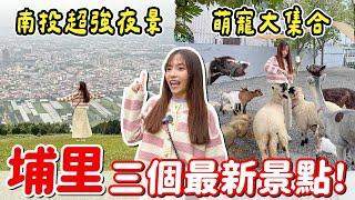 2025南投新景點！新開幕動物農場居然可以餵樹懶，飛行傘基地景觀餐廳，最後再去DIY鳳梨酥，因為自己做的更好吃？｜Haven在南投