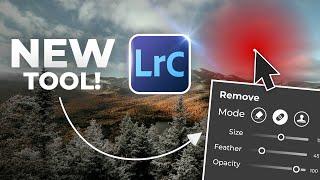 Is The New AI Removal Tool In Lightroom Any Good?