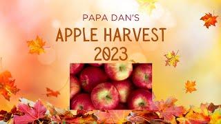 Apple Harvest 2023 and using Apple Press to make into juice