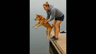 KungFu, Dog Mall Showdown! 