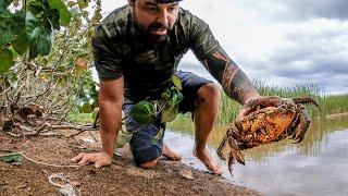 CAPTURANDO, COZINHANDO E COMENDO CARANGUEJO - Crab Trap