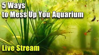 [LIVE]  5 Ways to Mess Up Your Aquarium and Fish Q&A! Plus a Giveaway!