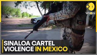 Sinaloa Cartel violence in Mexico: Mexican President blames United States for stoking rivalry | WION