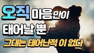 오직 마음만이 태어날 뿐 그대는 태어난 적이 없다