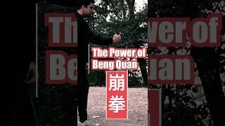 The power of Beng ! #martialarts #kungfu #turorial #kinetics #taijiquan #xingyiquan #ziranmen