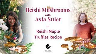 Reishi Mushrooms with Asia Suler + Reishi Maple Truffles Recipe