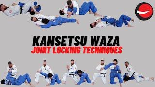 Kansetsu Waza || Joint Locking Techniques