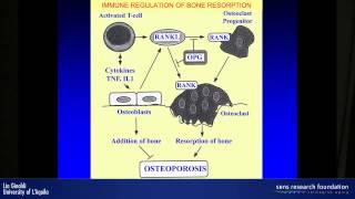 Effect of senescence on bone remodelling: the role of inflammageing - Lia Ginaldi