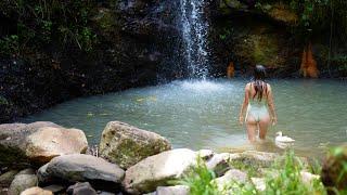 Summer in the Australian Rainforest: Harvesting and Cooking from our Tropical Fruit Forest