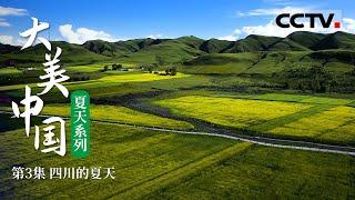 《大美中国·夏天系列》第3集 大美四川：盛夏时节 相约宗塔草原“耍坝子”【CCTV纪录】