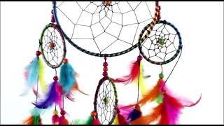 Asian Hobby Crafts Dream Catcher Wall Hanging (Circus)