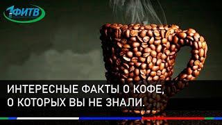 Интересные факты о Кофе, о которых Вы не знали
