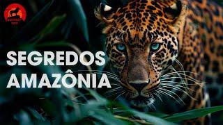 SEGREDOS DA AMAZÔNIA | Uma Aventura pela Selva Imponente | Documentários animais