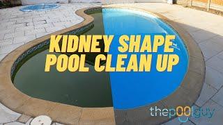 Green to clean kidney shape pool