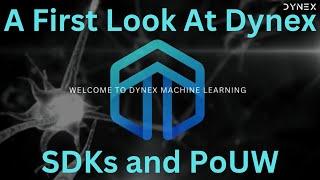 A first Look At Dynex SDKs & PoUW