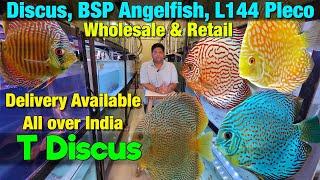 Discus Stock at T DISCUS in Dombivli I Delivery Available All Over India