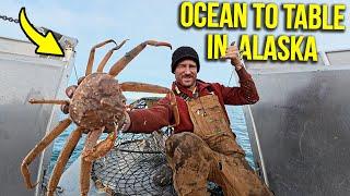 From Ocean to Table | Crab Fishing in Alaska