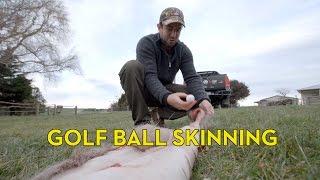 Skinning a Deer with a Golf Ball and an Amarok