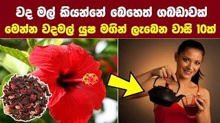 වද මල් යුෂ මගින් ලැබෙන සෞඛ්‍ය ප්‍රතිලාභ 9ක් - 9 Health Benefits of Hibiscus Tea