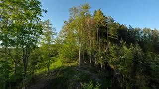 FPV Dronenflug Frühlingswald Lützelflüh Switzerland, 2022 - 4K