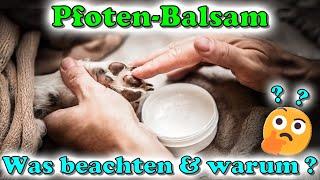 Paw balm for dogs - What you should look out for when buying & which ones we like! 