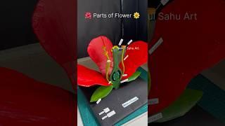 Parts of flower 3d model science project for #biology  #youtubeshorts nakulsahuart