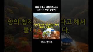조선 8경의 하나로 꼽혔던 산!! 내장산은 무슨 뜻일까? #내장산 #가을명산 #가을에꼭가야할곳 #등산