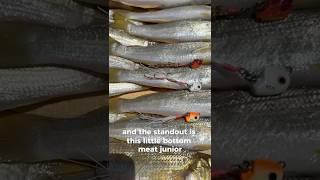 Catch more with the Vexed Bottom Meat Junior  #fishing #whiting #fish