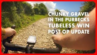 Isle of Purbeck Gravel Ride | Tubeless  | Obelisk | Old Harry Rocks | Farmyard Climb | Giant Revolt