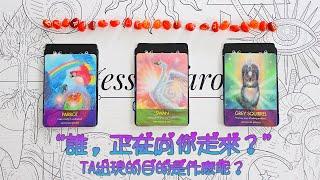 [Jessie占卜] 預測占卜（塔羅+盧恩） 誰正在向你走來呢？新人？還是舊人？。。。TA出現在你人生中の目的是什麽呢？（不受時間空間性別限制）