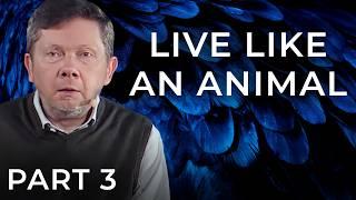 How to Stop Worrying About Things That Never Happen | Eckhart Tolle