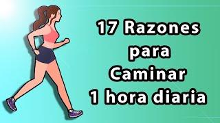 17 Razones para caminar 1 hora diaria, caminar todos los días.