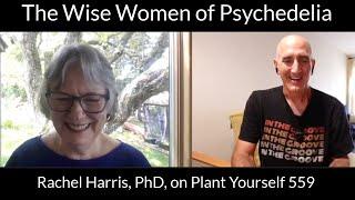 The Wise Women of Psychedelia: Rachel Harris, PhD, on PYP 559