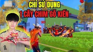 Chỉ Sử Dụng 1 Khẩu Chim Gõ Kiến !??