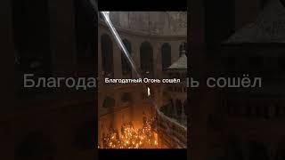 Благодатный Огонь 2024 #благодатныйогонь #пасха