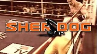 Sherdog #1 in MMA