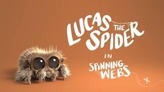 Lucas the Spider - Spinning Webs - Short