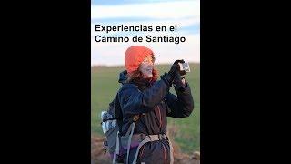 Experiencias en el Camino de Santiago