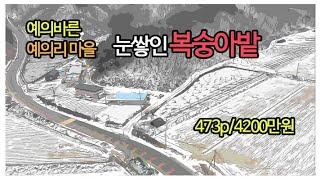 경북 상주시 외서면 예의리[예의있는 마을 도로변 토지]
