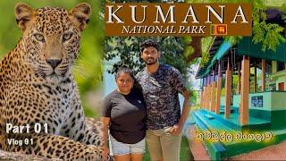 කුමන ජාතික වනෝද්‍යානය  Kumana National Park Safari Vlog   Thummulla Bunglow  Sri Lanka 