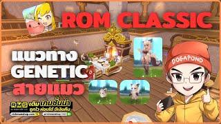 Ragnarok M: Classic - แนวทางไบโอ เจเน (Genetic) สายน้องแมว