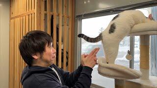 里帰り中の子猫にカンチョーする親父坂46