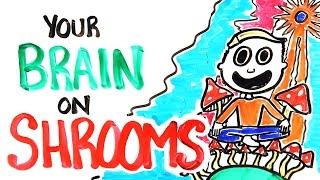 Your Brain On Shrooms