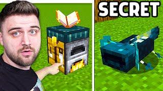 1000 SECRETE pe Minecraft !